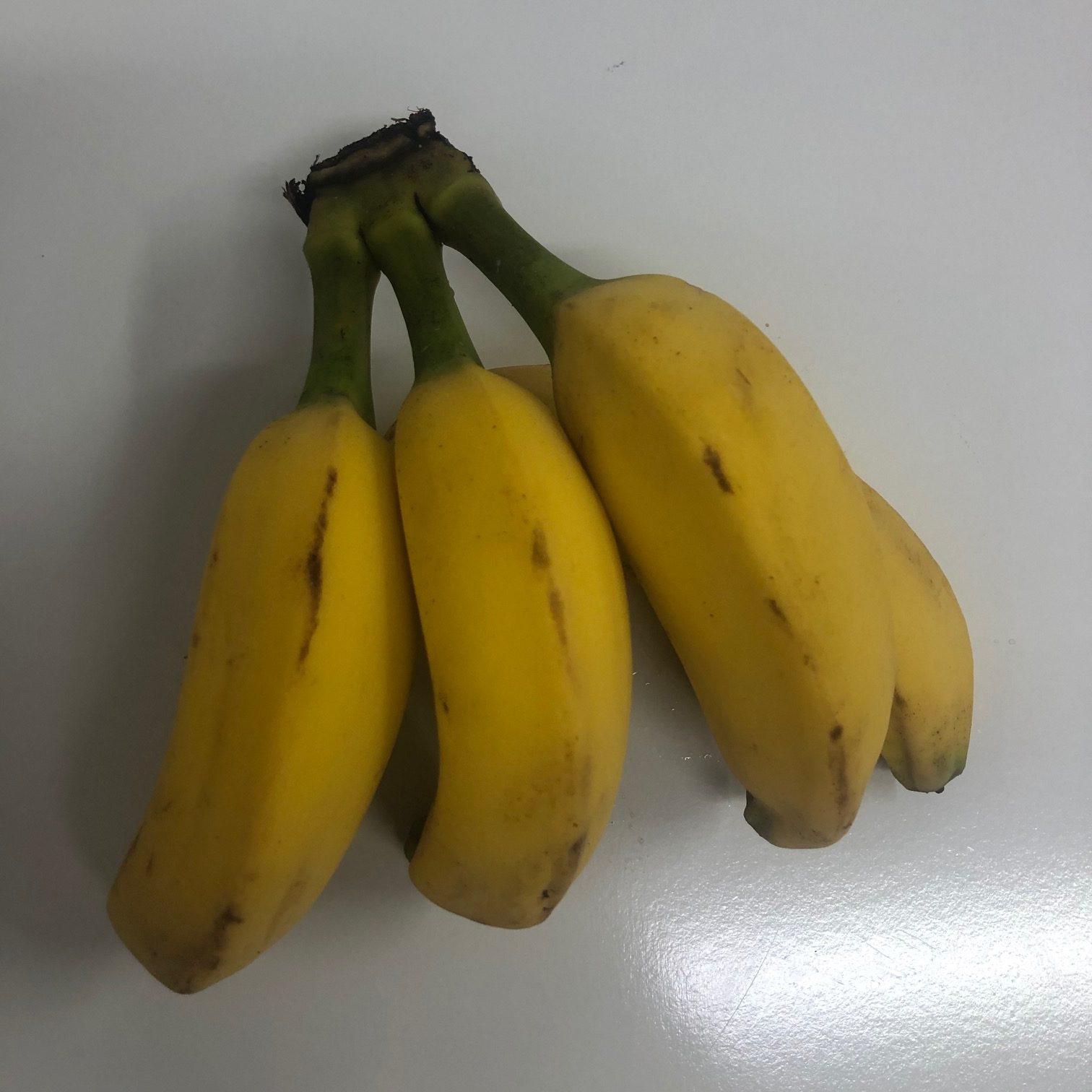 Pardons Fruit Market Shop